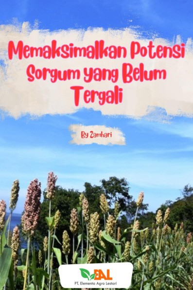 Memaksimalkan Potensi Sorgum yang Belum Tergali
